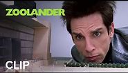 ZOOLANDER | "Center for Ants" Clip | Paramount Movies