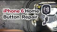 How to Fix Damaged iPhone 6 Home Button | Microsoldering Repair Lesson