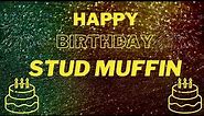 Happy Birthday Stud Muffin (EDM Mix)