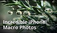 How To Take Incredible Macro Photos With Your iPhone