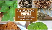 Ayurvedic Herbs, The Tonic Superfoods of Ayurveda