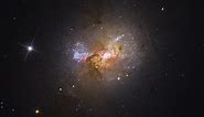 Hubble Finds a Black Hole Igniting Star Formation in a Dwarf Galaxy - NASA Science