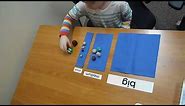 Sorting Objects by Size: ABLLS Assessment