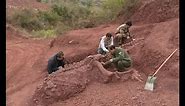 180 mln-year-old dinosaur fossils discovered in SW China