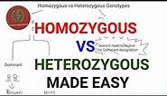 Homozygous vs Heterozygous Genotypes