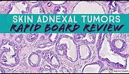 Skin Adnexal Tumors: Dermpath Board Review for Dermatology Pathology & Dermpath