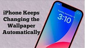 iPhone Keeps Changing the Wallpaper Automatically After iOS 17.3 Update (Fixed)