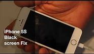 iPhone 5S Black screen of death Fix
