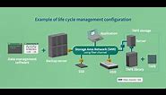 Storage Cost Optimization Using Efficient Data Tape Storage (full video)/FUJIFILM