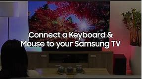 Connect a Keyboard & Mouse to your Samsung TV