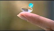 How to Put in Contacts -- DAILIES® AquaComfort Plus® Contact Lenses