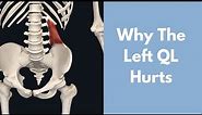 Why Does Your Left Quadratus Lumborum Hurt?
