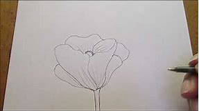 How to Draw Poppy Flowers-Simplified
