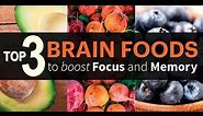 Top 3 Food for Memory | FEED Your BRAIN | Info by Guru Mann