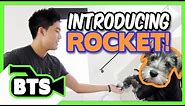 Introducing Rocket! (BTS)