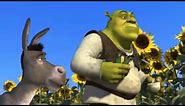 Ogres are like Onions