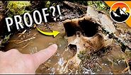 Bigfoot Skull Found in Canada?