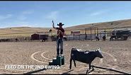Heeling Lesson 1.0 How to Rope the Dummy. Team Roping