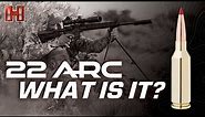 22 ARC: What is it?