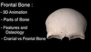 Frontal Bone anatomy 3D, Frontal bone of skull anatomy notes, parts ,features and osteology,