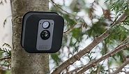 How to factory reset a Blink camera (indoor or outdoor)