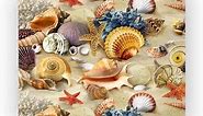 Colorful Seashells In The Sand - Beach Wall Art, Shells, Starfish With Coral And Sand Dollar Wall Decor Print Is Ideal For Home Decor, Bedroom Wall Art, House Decor, Office Decor, Unframed - 10x8