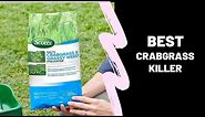Best Crabgrass Killer [Top 5 Reviews]
