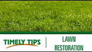 How To Restore a Lawn