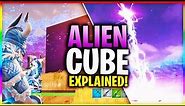 The TRUTH About The PURPLE CUBE in Fortnite...*EXPLAINED*
