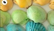 How to Color Sea Shells / Dyed Seashells / Sea Shell Craft / Summer Home Décor Ideas / #shorts