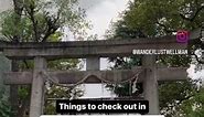 Check Out Osaka Japan's Most Unique Shrine !🦁⛩