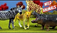 Toy Wild Animals 3D Puzzles Collection Zebra Hippo Giraffe Cheetah │ Zoo Animals Fun Facts For Kids