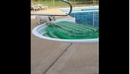 Dog stands on inflatable raft in pool