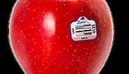 Gala Apple Review - Apple Rankings by The Appleist Brian Frange
