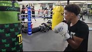 [HEAVY HITTERS] Joseph Brown H7 boxing gloves