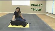 How to Train a Dog to Go to a "Place" Mat (K9-1.com)