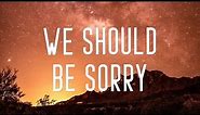 Axel Johansson - We Should Be Sorry (Lyrics)