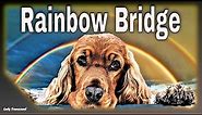 Message from Your Pet in Heaven (Letter from Rainbow Bridge)