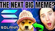 DOGWIFHAT (WIF) the Next 100X Solana Memecoin? 🚀