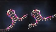 Visualize the Fascinating Roles of lncRNA