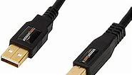 Amazon Basics USB-A to USB-B 2.0 Cable for Printer or External Hard Drive, Gold-Plated Connectors, 16 Foot, Black