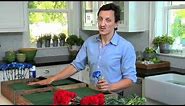 How to Make an American Flag Flower Arrangement for 4th of July | Pottery Barn