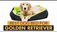 Best Dog Bed For Golden Retriever