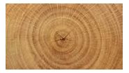 Close-up wood grain for backgrounds