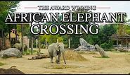 Zoo Tours: The African Elephant Crossing | Cleveland MetroParks Zoo