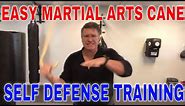 Easy Martial Arts Cane Self Defense Training