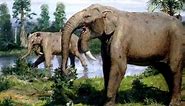 Deinotherium | Prehistoric Elephant |