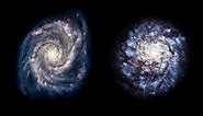 Perspectives on Spiral Galaxies