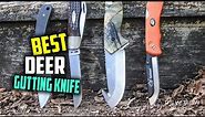 Top 5 Best Deer Gutting Knives in 2024 [Review] - Fixed Blade Buck & Field Dressing Knives