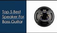 Top #5 Best Speaker For Bass Guitar Reviews With Products List